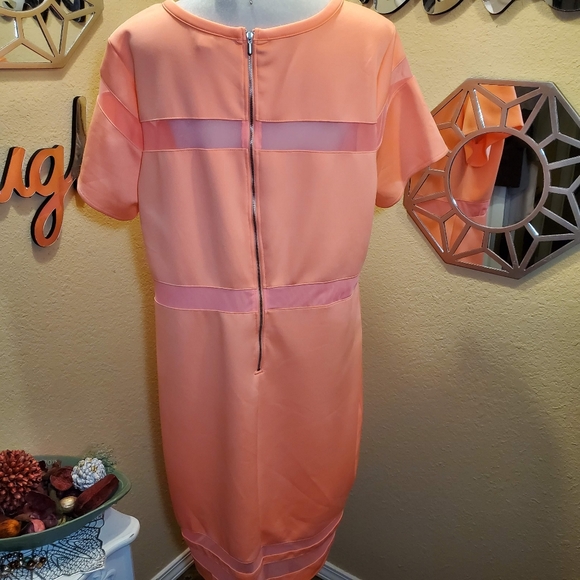 Boutique Coral Dress w/ Exposed Zipper 2x - Picture 7 of 8